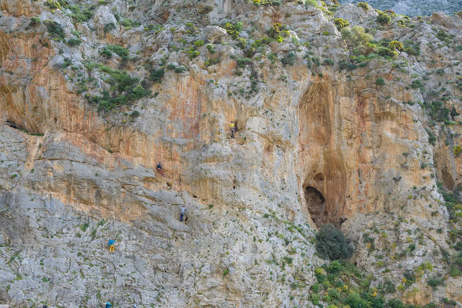Sport climbing